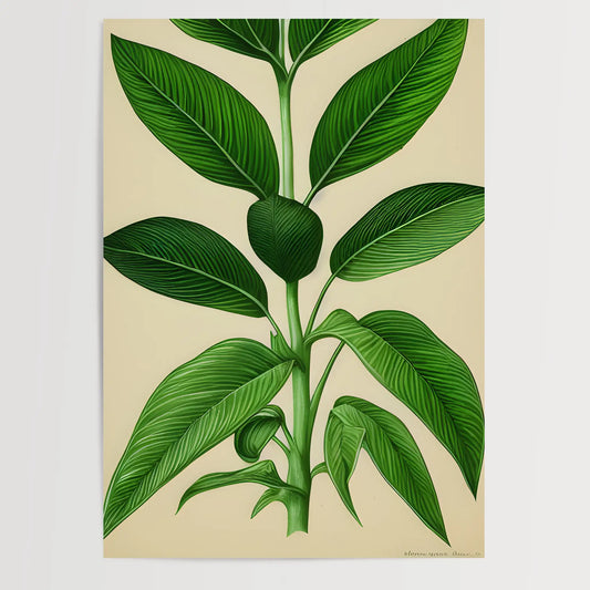 Botanisch Zeichnung - Pflanzen No 13- Poster