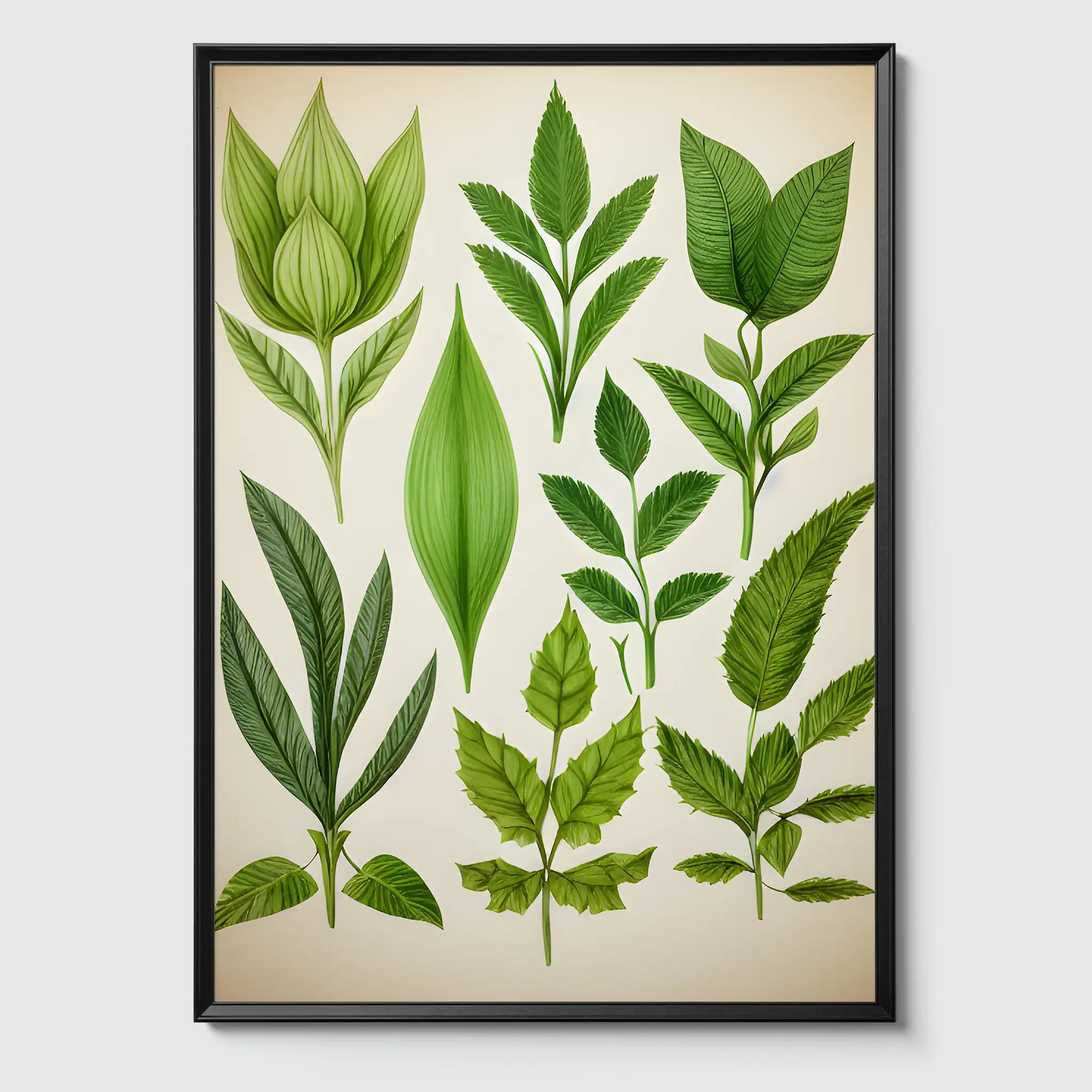 Botanisch Zeichnung - Pflanzen No 14- Poster
