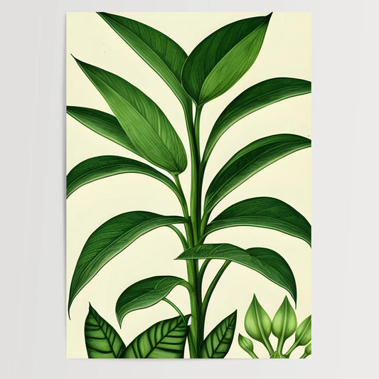 Botanisch Zeichnung - Pflanzen No 15- Poster