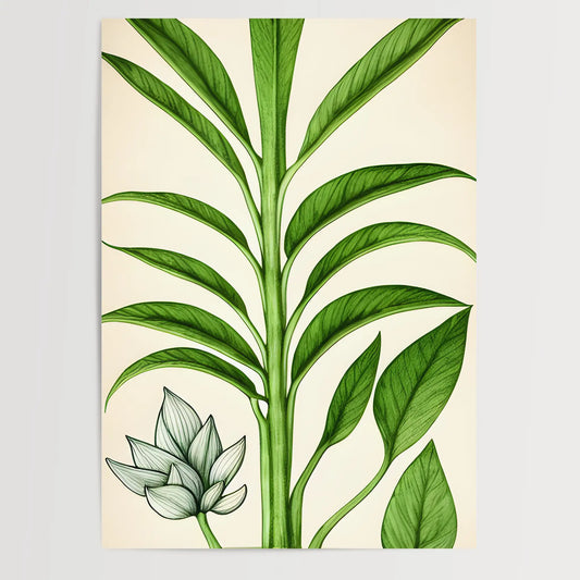 Botanisch Zeichnung - Pflanzen No 4- Poster