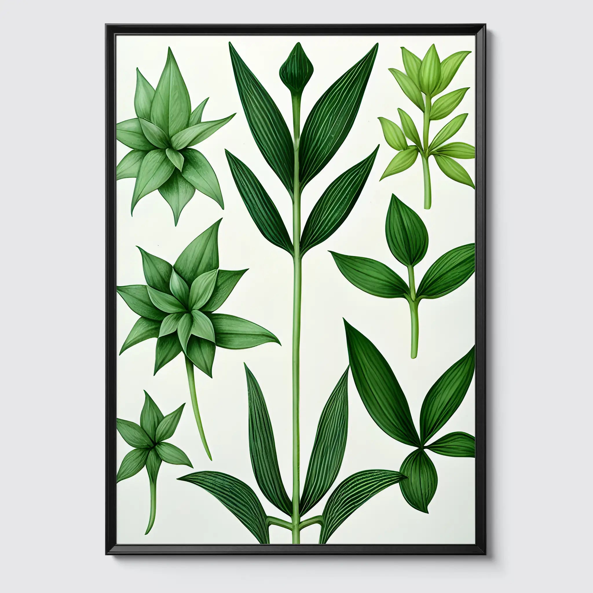 Botanisch Zeichnung - Pflanzen No 9- Poster