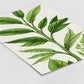 Botanical Drawing - Plants No 10- Poster