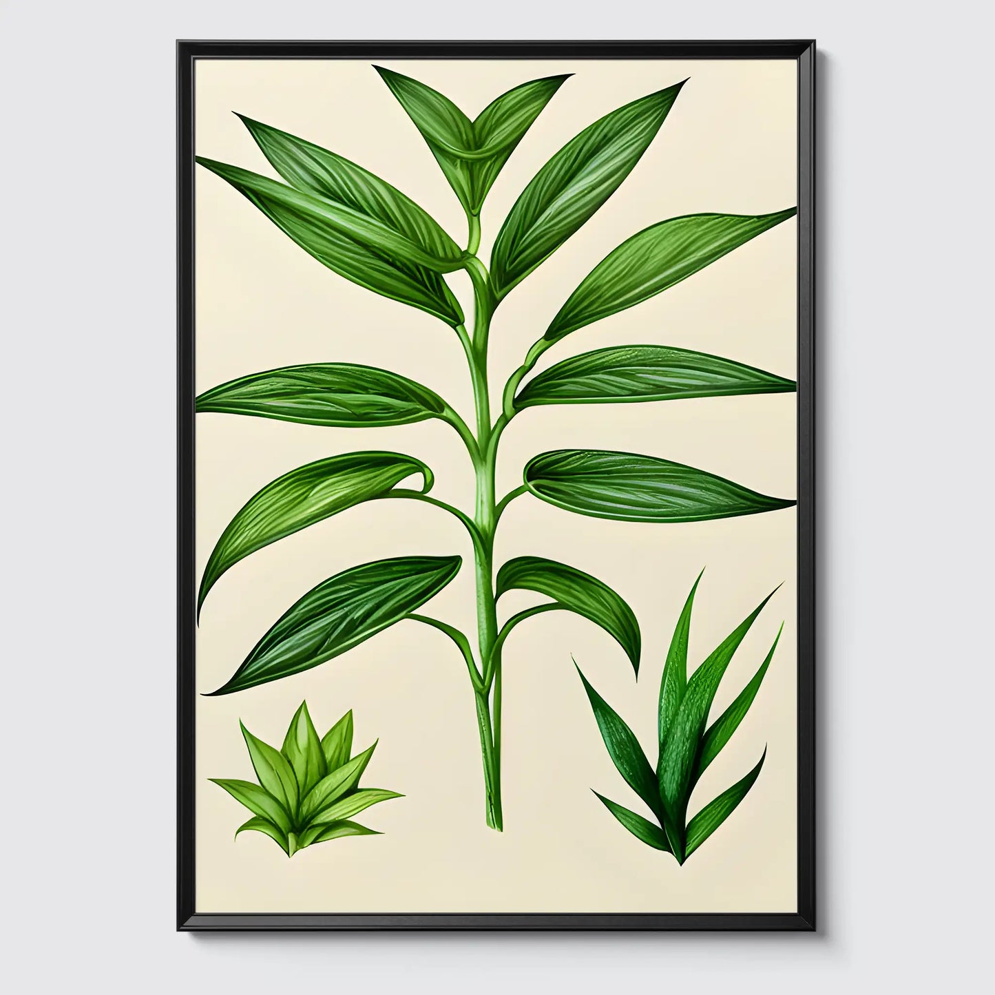 Botanical Drawing - Plants No 11- Poster