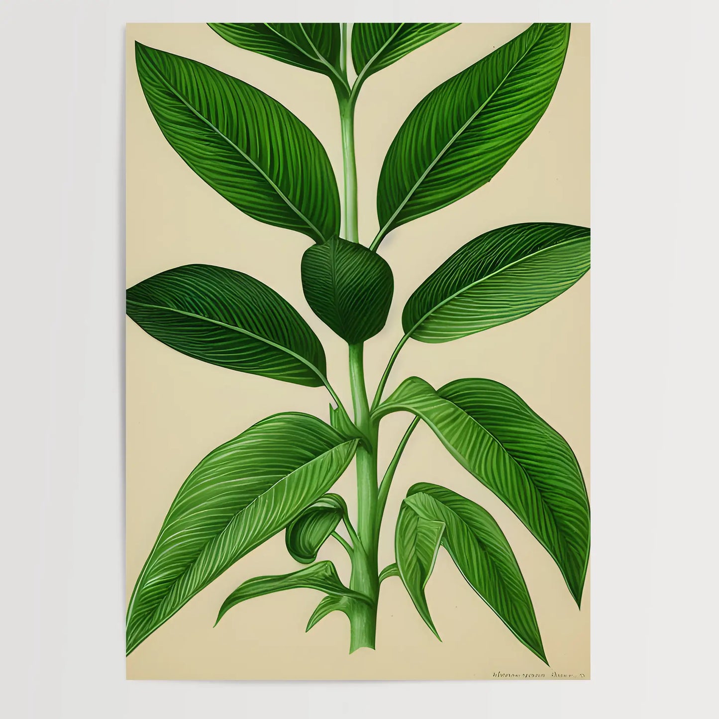 Botanical Drawing - Plants No 13- Poster