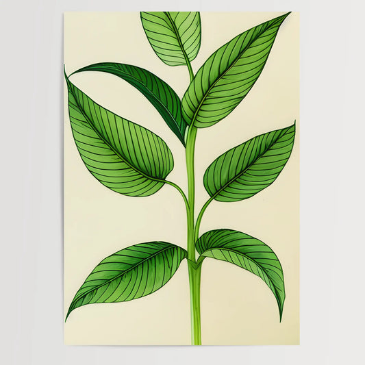 Botanical Drawing - Plants No 5- Poster