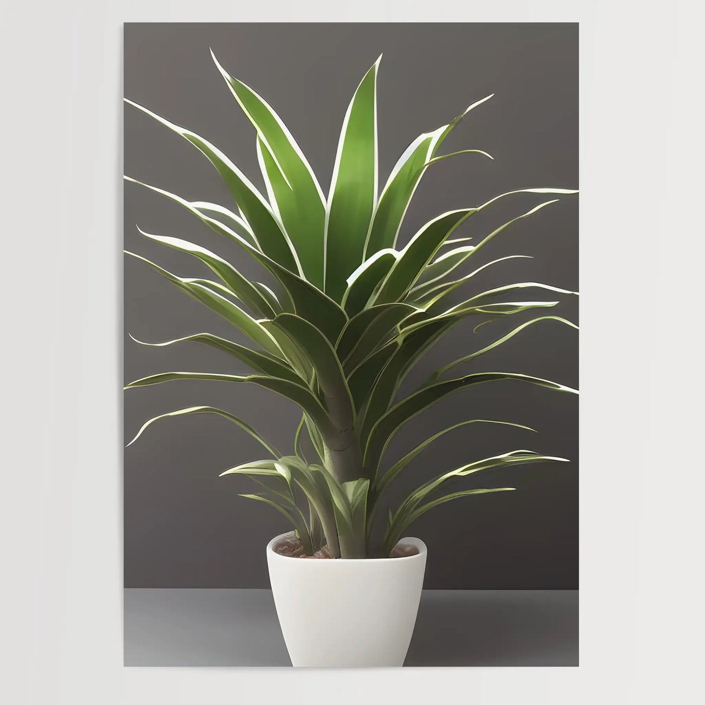 Dracaena trifasciata - Pflanzen No 1- Poster