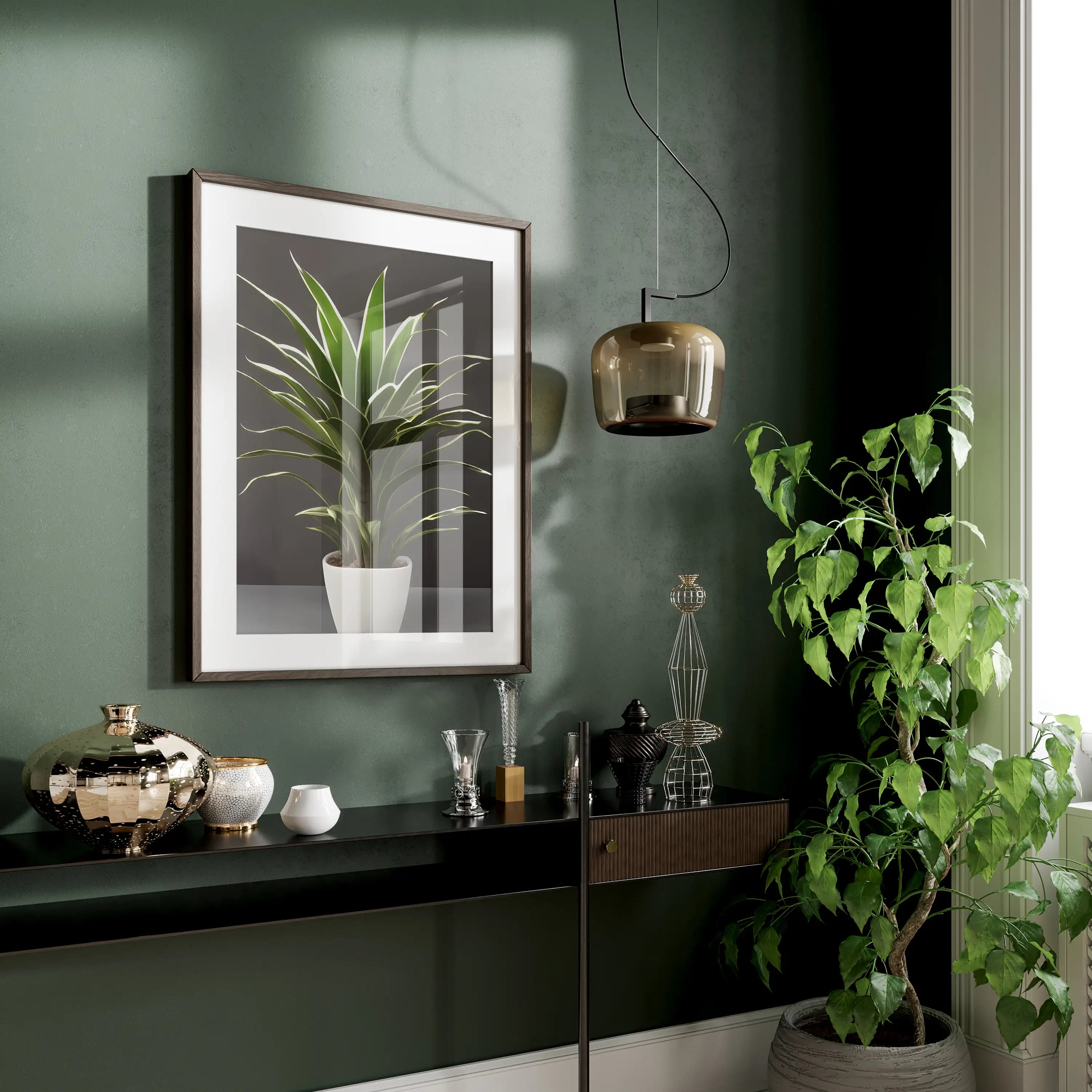 Dracaena trifasciata - Plants No 1 - Poster