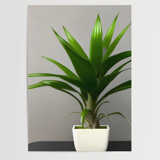 Dracaena trifasciata - Plants No 4 - Poster