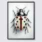 Ladybug No 3 - Poster