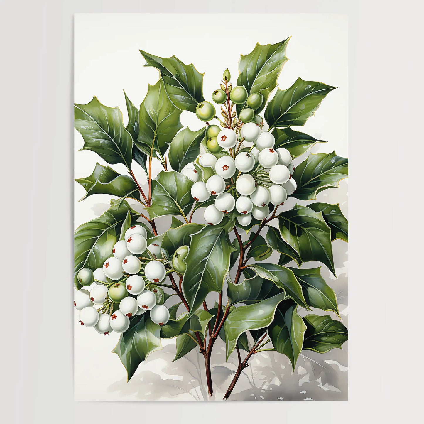 Mistletoe No 2 - Christmas - Nature Poster