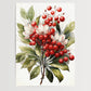 Mistletoe No 3 - Christmas - Nature Poster