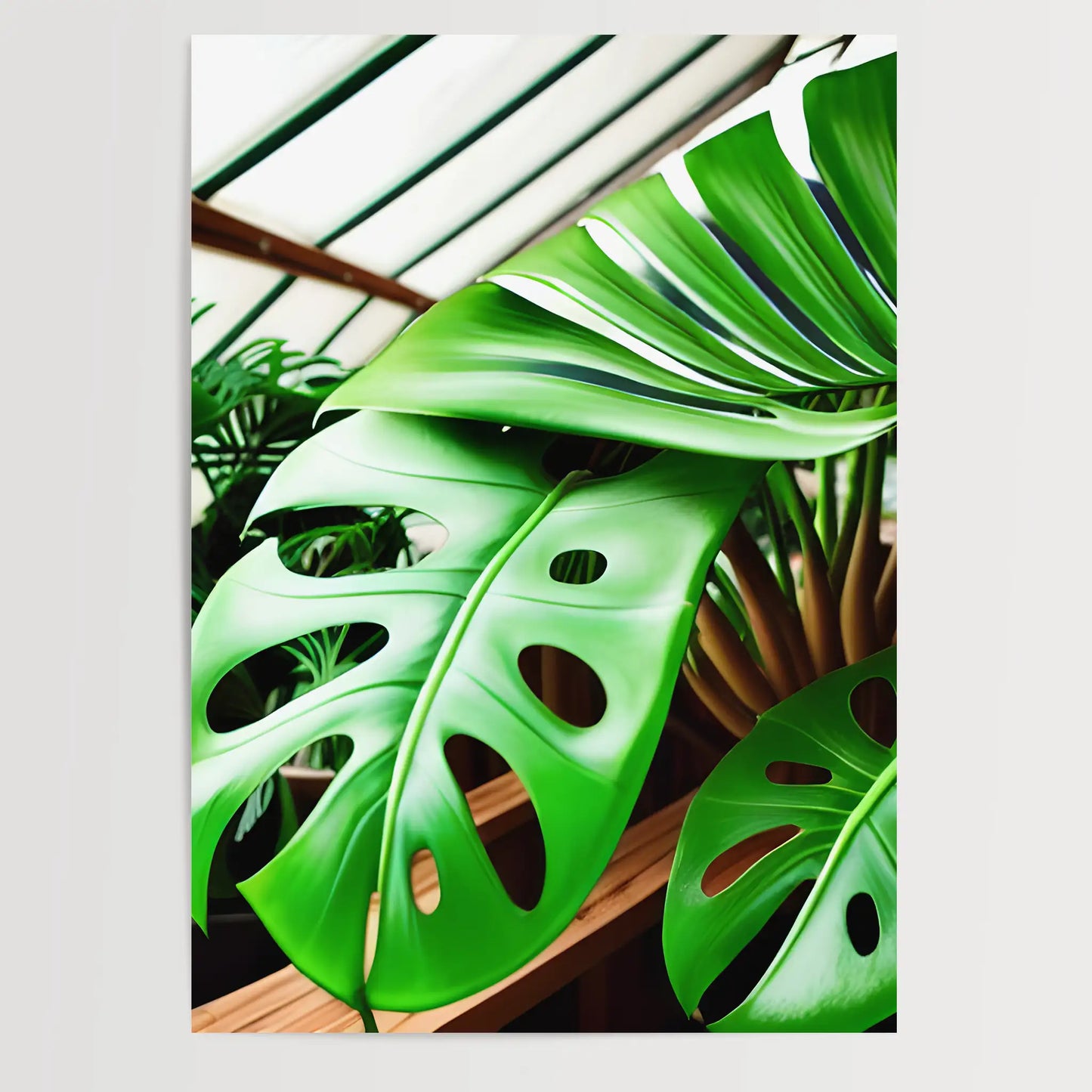 Monstera - Pflanzen No 6- Poster