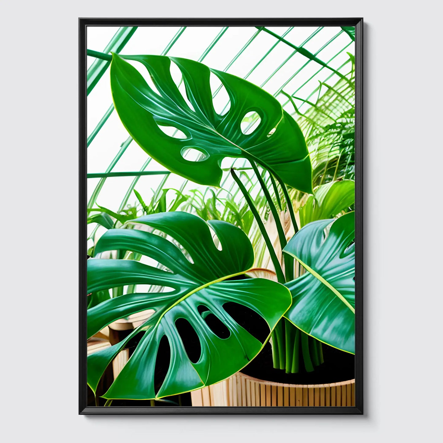 Monstera - Plants No 7 - Poster