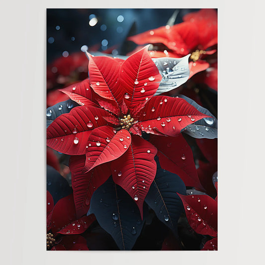 Poinsettias No 2 - Christmas - Nature - Poster